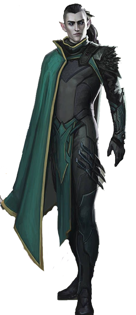 Темный эльф